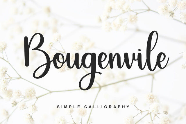 Bougenvile Font Abo Daniel Studio 