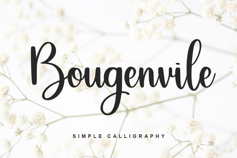 Bougenvile Font Abo Daniel Studio 