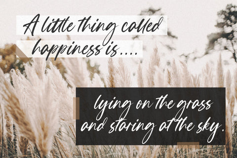 Boulderstone Modern Calligraphy Font Font Letterative 