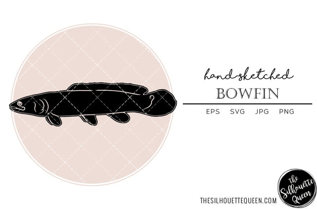 Bowfin Hand sketched, hand drawn vector clipart SVG Loveleen Kaur 