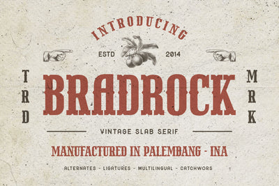 Bradrock - Vintage Slab Font Arterfak Project 