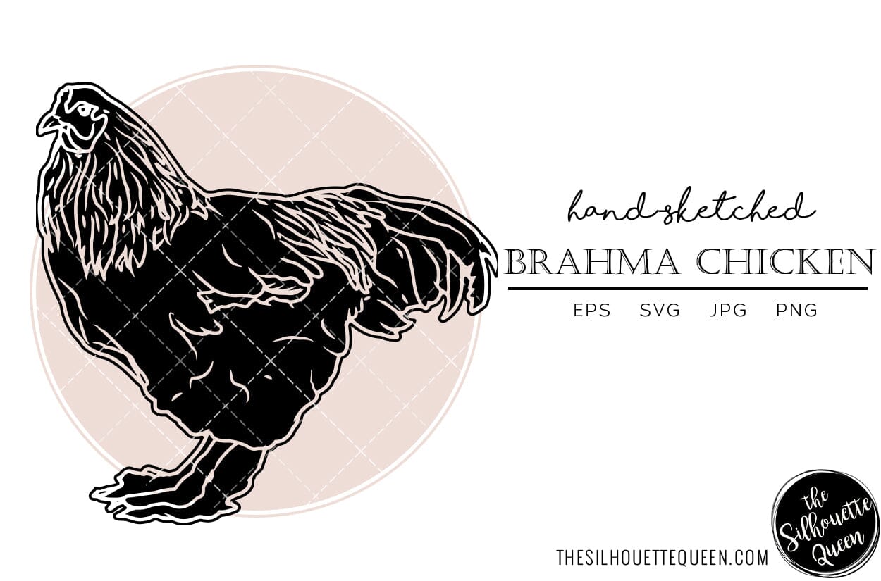 Brahma Chicken Svg Clip Art Rooster Vector Grpahic Art, Poultry Png Cut  File, Digital Design 