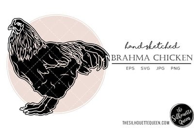 Brahma Chicken Sketch Vector SVG Loveleen Kaur 