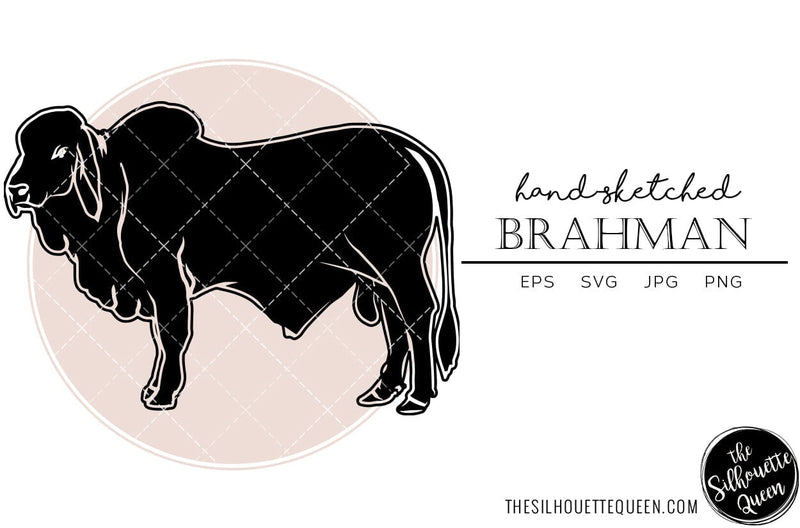 Brahman Sketch Vector SVG Loveleen Kaur 