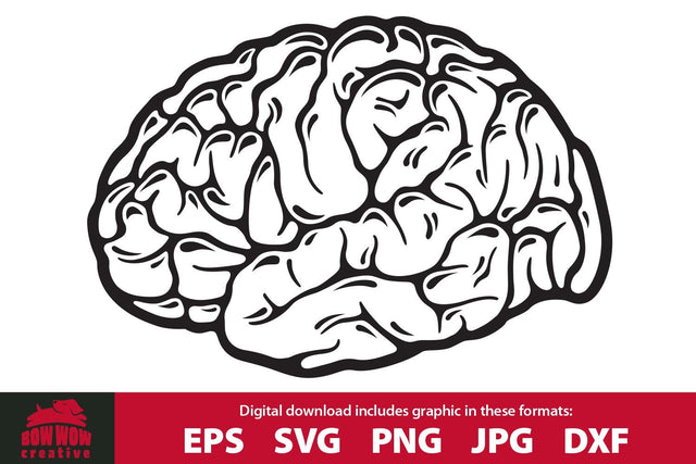 Brain SVG Cutting File & Clipart SVG Bow Wow Creative 