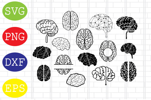 Brain Svg, Human Brain Svg, Brain Vector SVG DigitalSvgFiles 