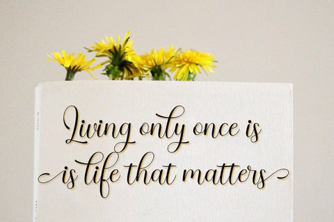 Braly latoya Font WsStudio 