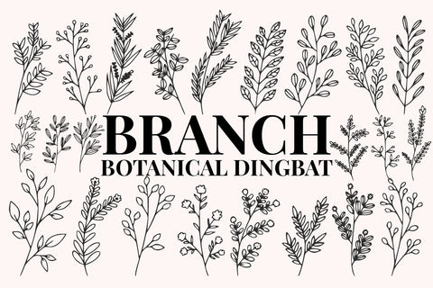 Branch - Botanical Dingbat Font Font Masyafi Studio 