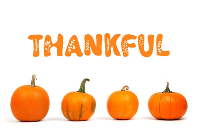 Branch - Farmhouse Font Font ampersand 