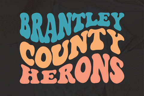 Brantley county herons svg, Bach Tees, Custom Bachelorette Party design EPS PNG Cricut Instant Download SVG Fauz 