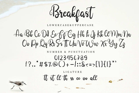 Breakfast Font LetterdayStudio 