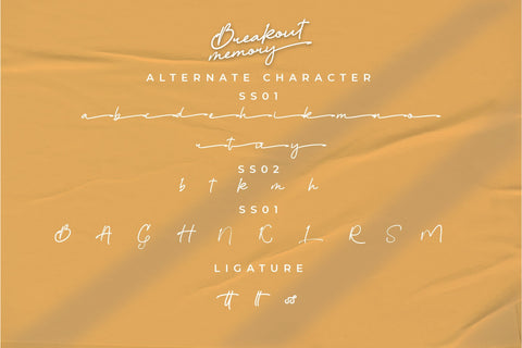 Breakout Memory Handlettering Font Font nearzz 