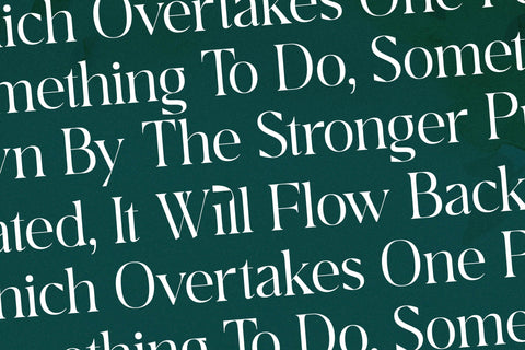 Breilga Typeface Font Storytype Studio 