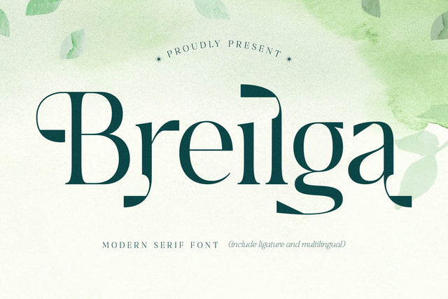 Breilga Typeface Font Storytype Studio 
