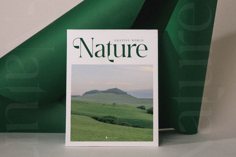 Breilga Typeface Font Storytype Studio 