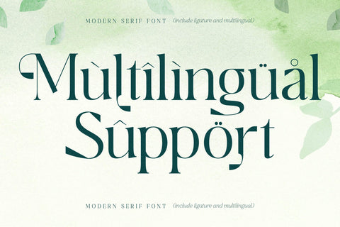 Breilga Typeface Font Storytype Studio 