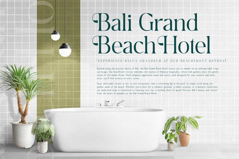 Breilga Typeface Font Storytype Studio 