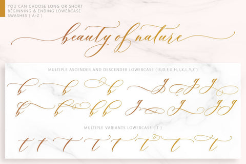 Brendisa Script Font Jamaluddin 