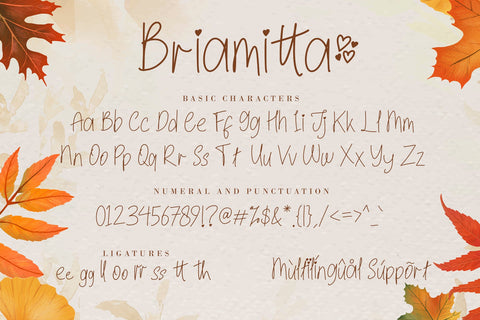 Briamitta Font AEN Creative Store 