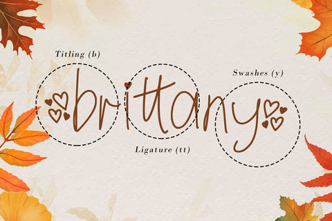 Briamitta Font AEN Creative Store 