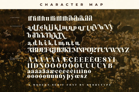 Bridga Goldeni Typeface Font Storytype Studio 