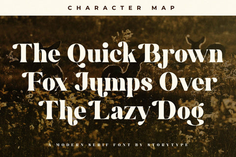 Bridga Goldeni Typeface Font Storytype Studio 