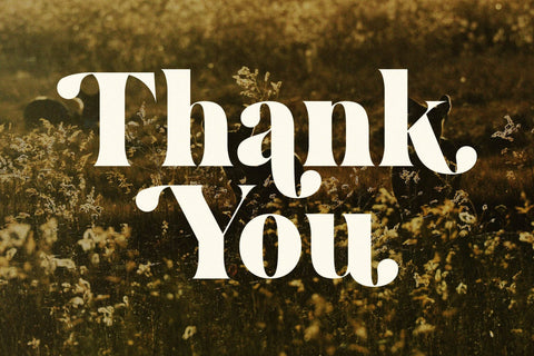 Bridga Goldeni Typeface Font Storytype Studio 