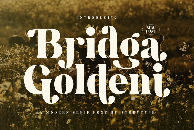 Bridga Goldeni Typeface Font Storytype Studio 