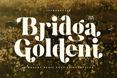 Bridga Goldeni Typeface Font Storytype Studio 