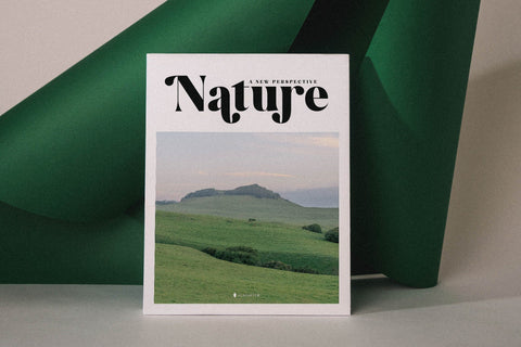 Bridga Goldeni Typeface Font Storytype Studio 