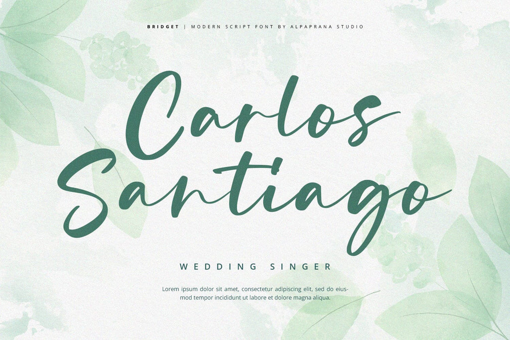Bridget - Modern Script Font - So Fontsy