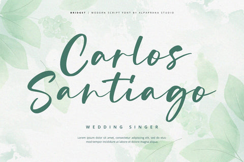 Bridget - Modern Script Font Font Alpaprana Studio 