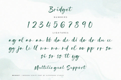 Bridget - Modern Script Font Font Alpaprana Studio 
