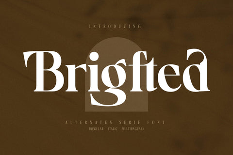 Brigfted Typeface Font Storytype Studio 