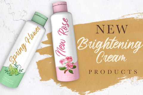 Brighnesy Hand Brush Font Creatype Studio 