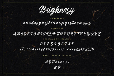 Brighnesy Hand Brush Font Creatype Studio 