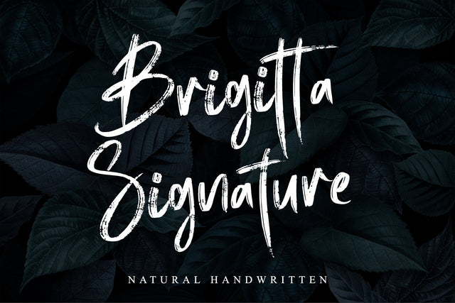Brigitta Signature Font Letterara 