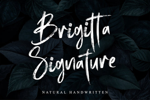 Brigitta Signature Font Letterara 