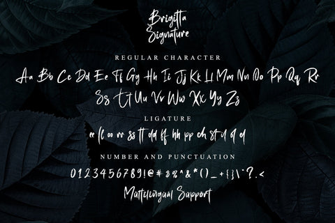 Brigitta Signature Font Letterara 