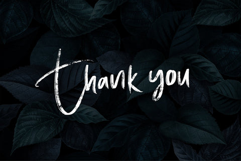 Brigitta Signature Font Letterara 