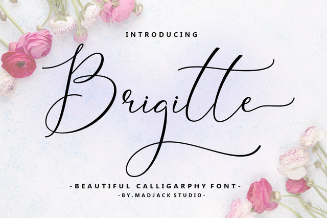 Brigitte Script Font muhammadzeky 