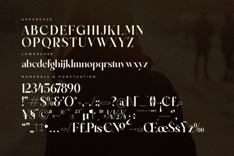 Brilge Relfast Typeface Font Storytype Studio 
