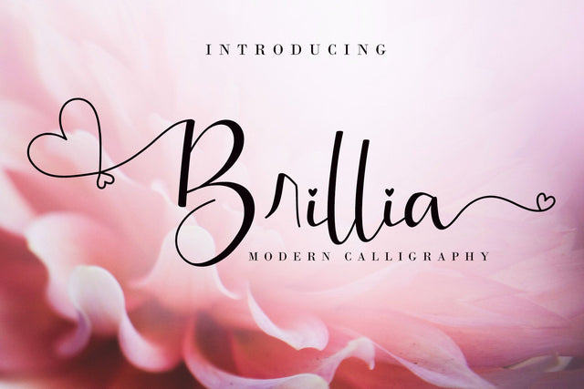 Brillia Calligraphy Font AEN Creative Store 