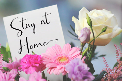 Brillia Calligraphy Font AEN Creative Store 