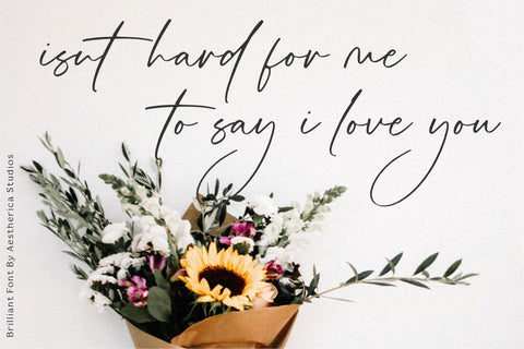 Brilliant Font Aestherica Studio 