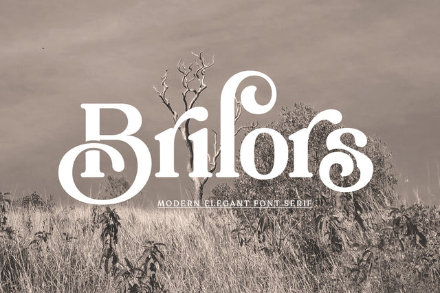 Brilors Serif Font Zane Studio55 