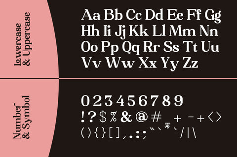 Brilors Serif Font Zane Studio55 