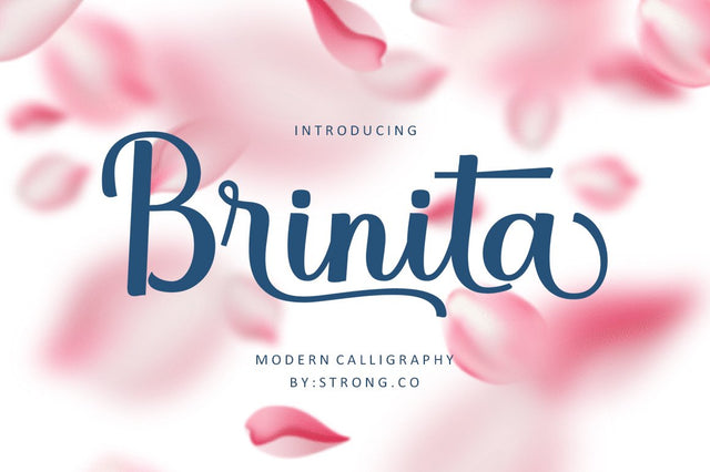 Brinita Script Font Nanda Putra Sukmayadi 