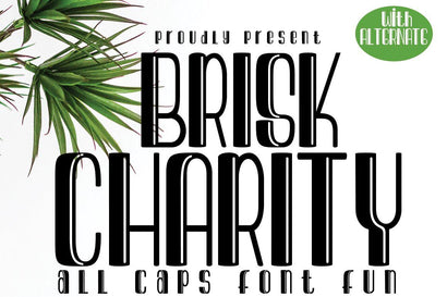 Brisk Charity Font JH-CreativeFont 