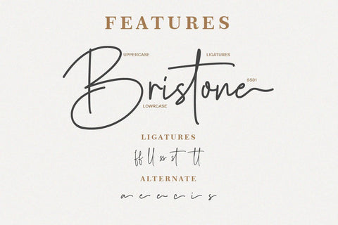 Bristone Handwritten Script Font Balevgraph Studio 